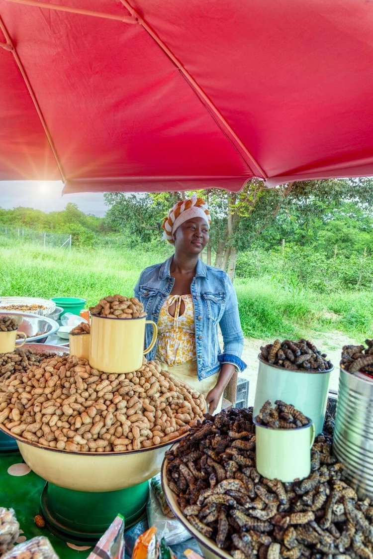 Mopane worms on sale in African market