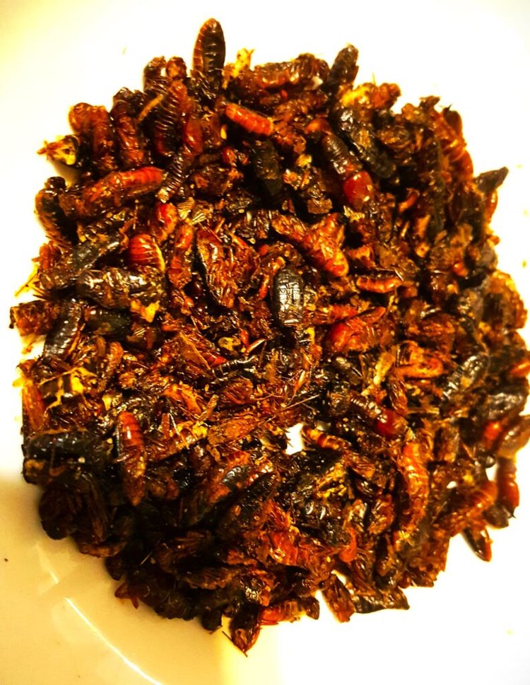 Roasted inswa (Credit - Hunger for Culture)